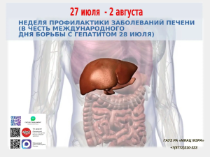 Неделя профилактики заболеваний печени: сохраните свой главный фильтр!